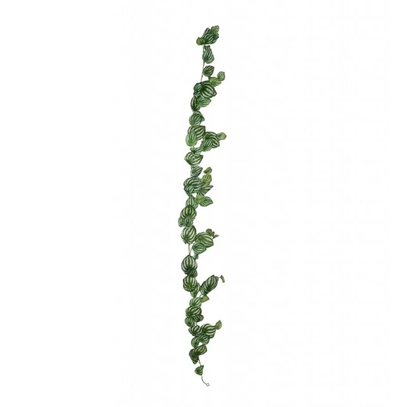 Peperomiagirlang 180 cm grønn