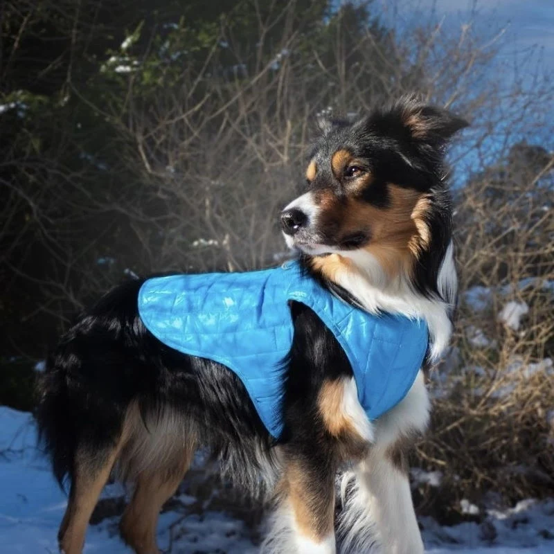 Vannavstøtende hundevest, flere farger (XS–XL) - Regnjakke til hund