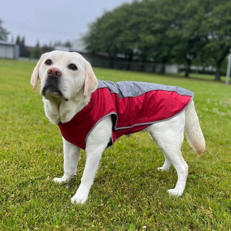 Vannavstøtende hundejakke, XS–3XL – flere farger - regnjakke