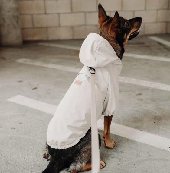 Brighton Regnjakke til Hund - Vanntett Hundejakke - Lambwolf Collective