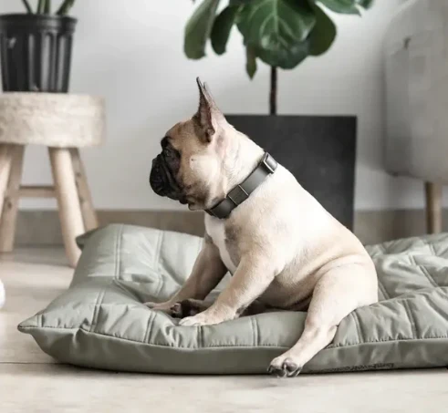 Lambwolf Maatin Hundeseng 60x54cm - Lav Profil og maskinvask