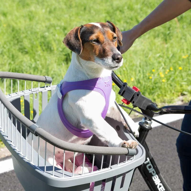 Sykkelkurv til hund og katt 47 × 35 × 34 cm – Ferplast