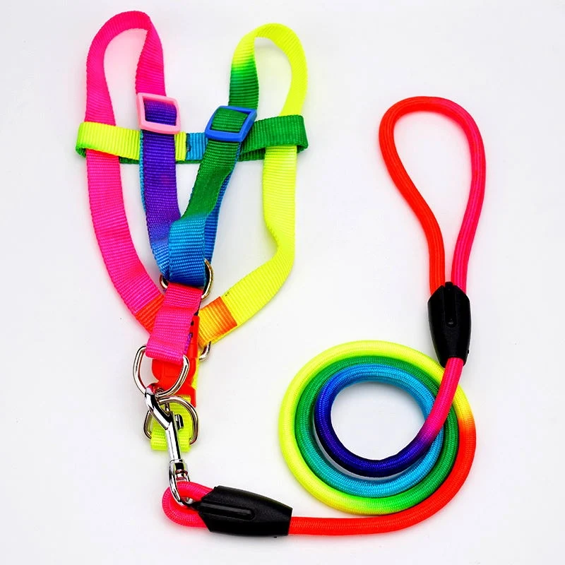 Selesett til hund Rainbow – sele og kobbel (S, M, L)