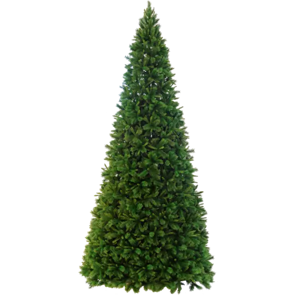 Julgran Colorado 500 cm