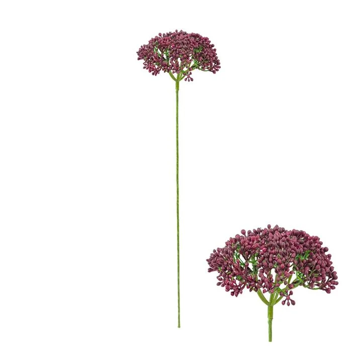 Röllekablomma mörklila 55 cm
