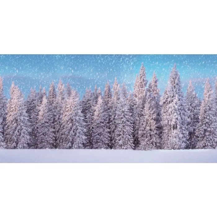 Stor bakgrund med snötäckt skog