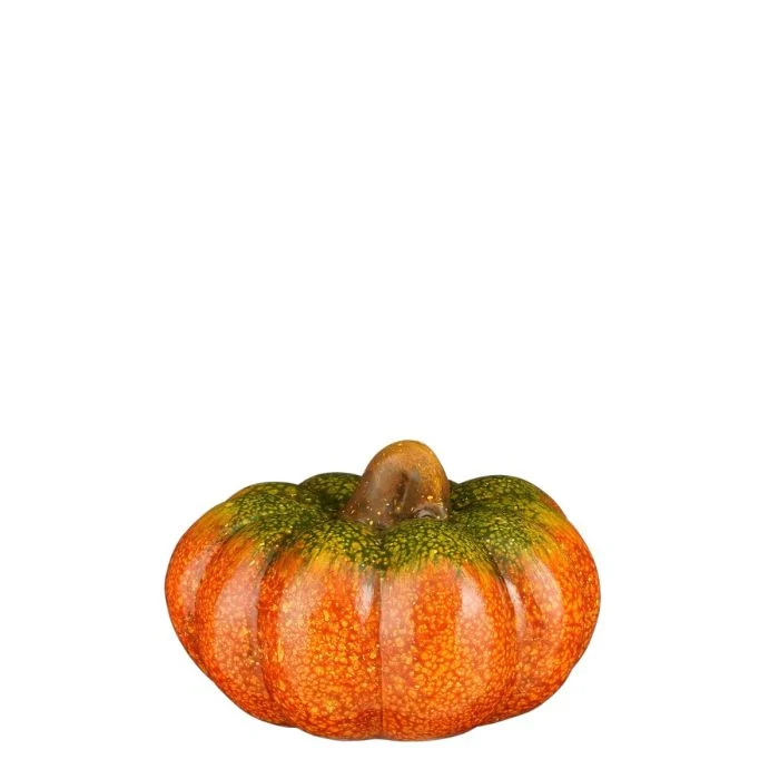 Pumpa 9 cm hög