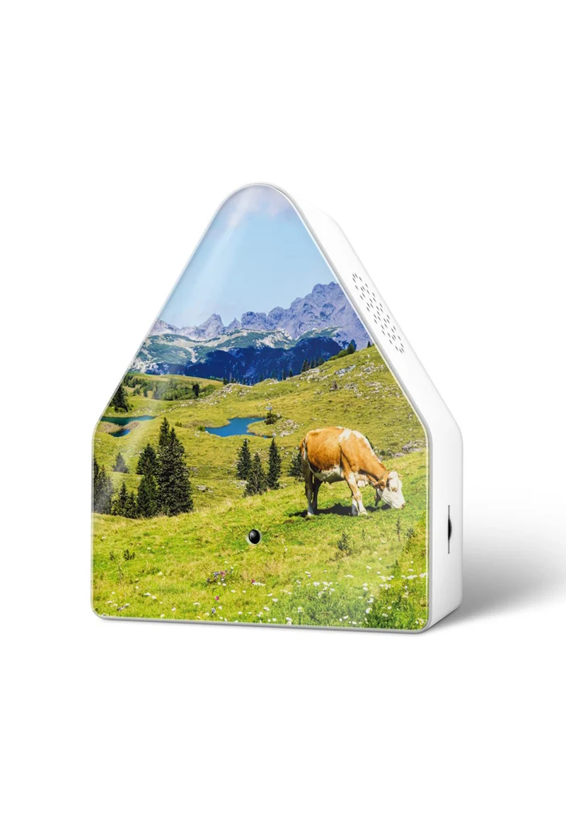 Speldosa Heidibox Alperna
