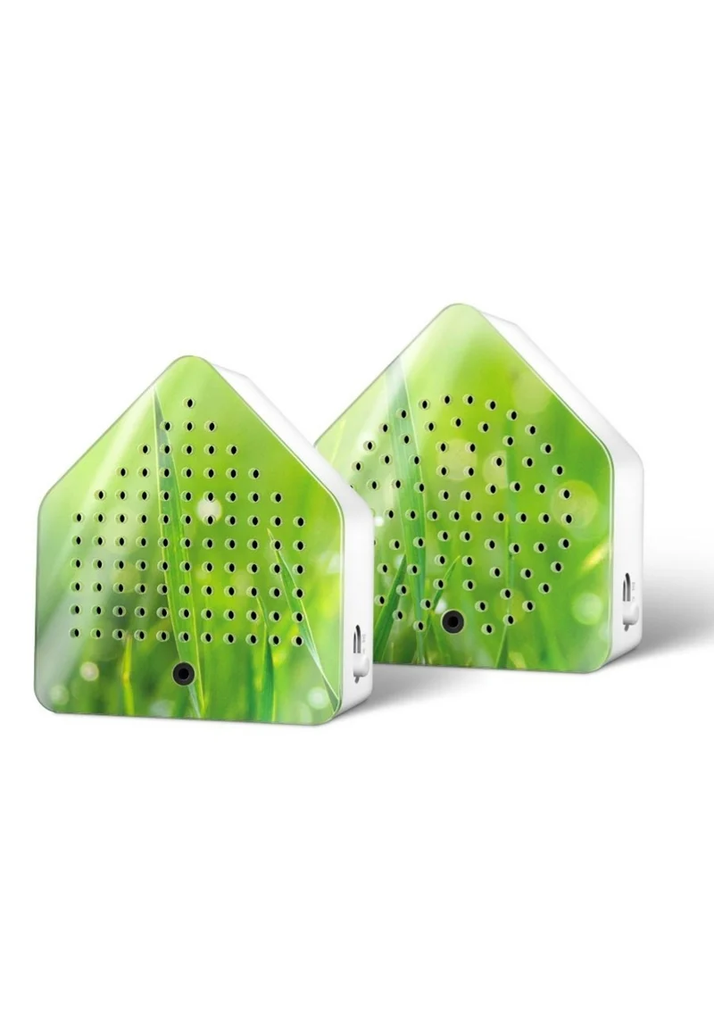 Speldosa Zirpybox 2-pack Gräshoppa
