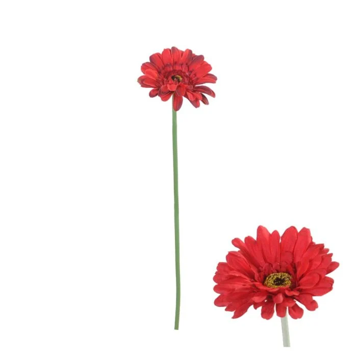 Gerbera blomsterstjälk röd 55 cm