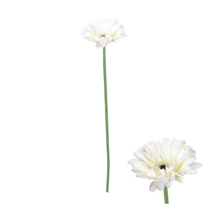 Gerbera blomsterstjälk vit 55 cm