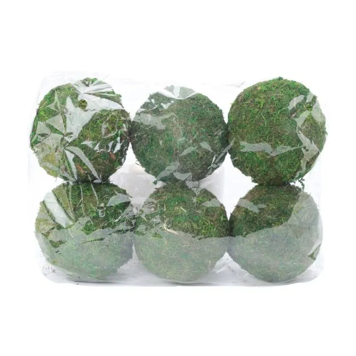 Moskulor 9 cm i dia 6-pack