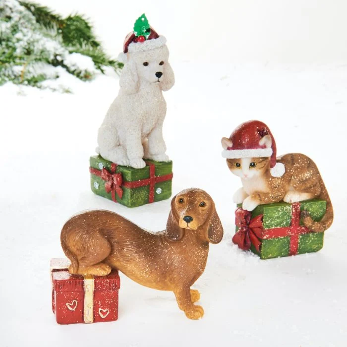 Hund eller katt med julklapp