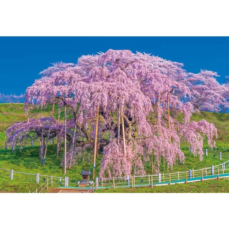 Pussel Blooming Miharu Taki Zakura Fukushima 300 bitar YAM-03-949 YANOMAN