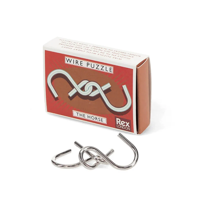 Brain Teaser Wire Puzzle (assorted) by Rex London