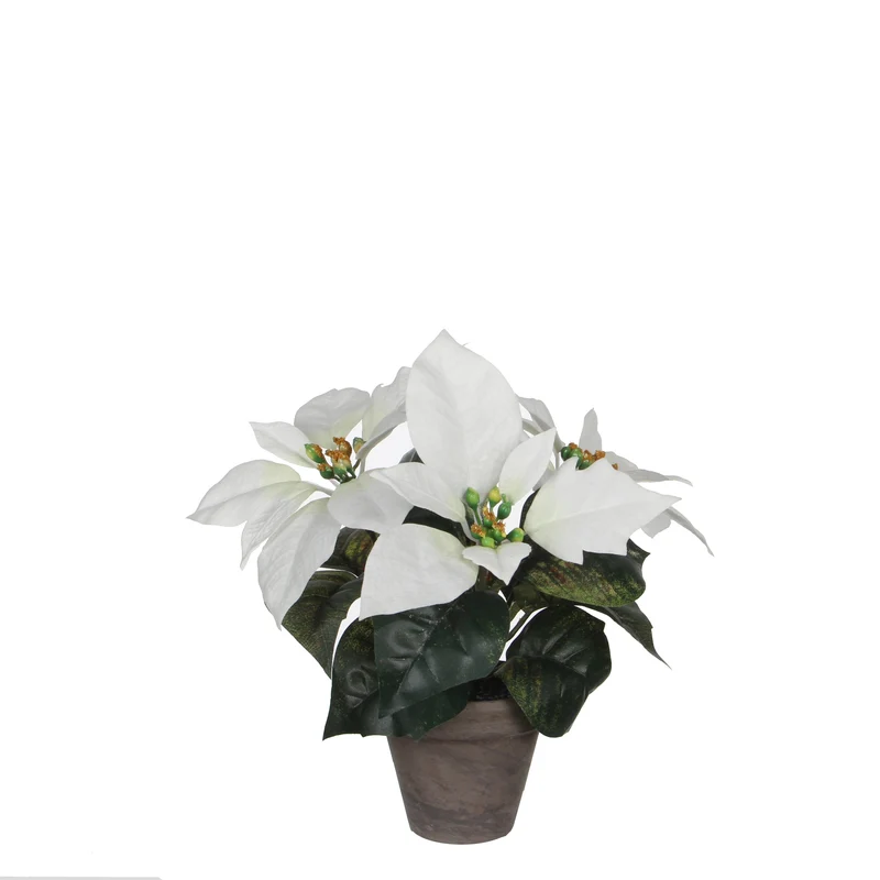 Hvid julestjerne 25 cm høj