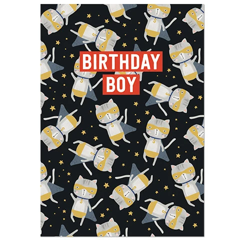 Birthday Boy Greetings Card by Mifkins