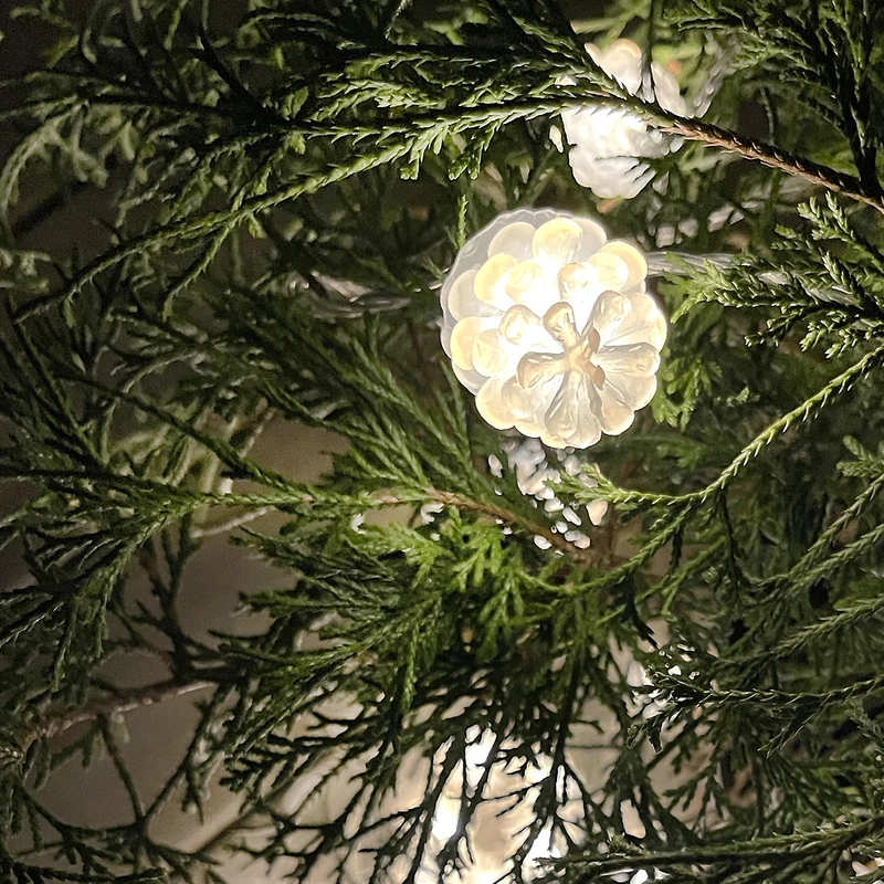 PINE ljusslinga