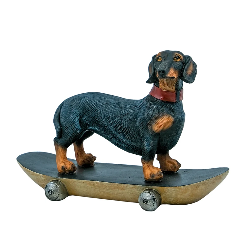 Hund på skateboard