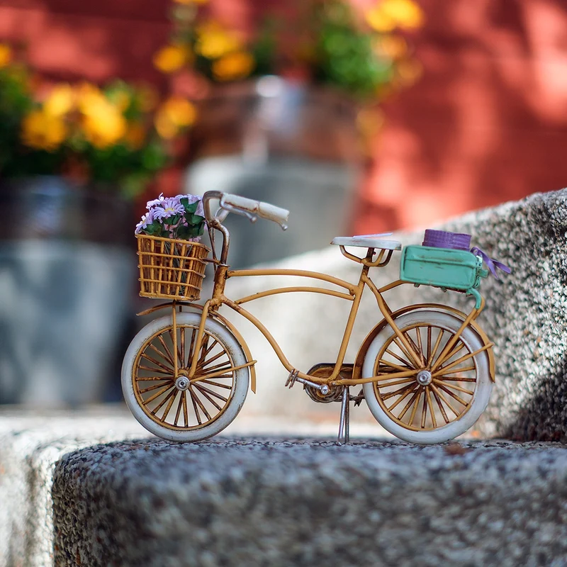 Cykel sommar (två varianter)