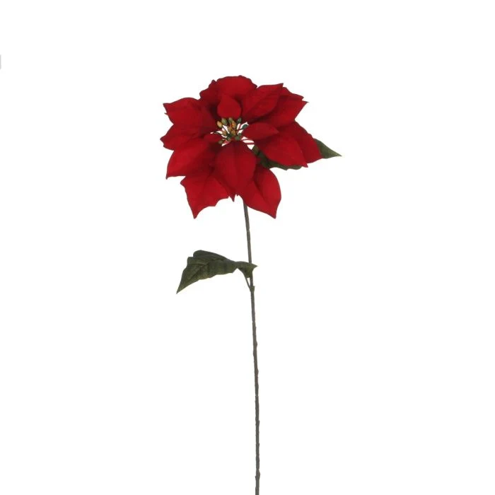 Julstjärna stjälk röd