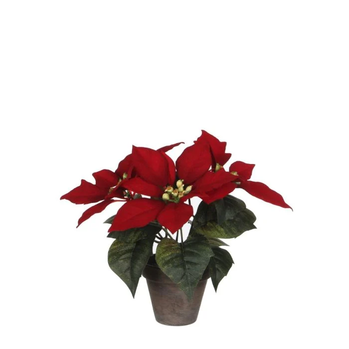 Röd julstjärna 25 cm hög