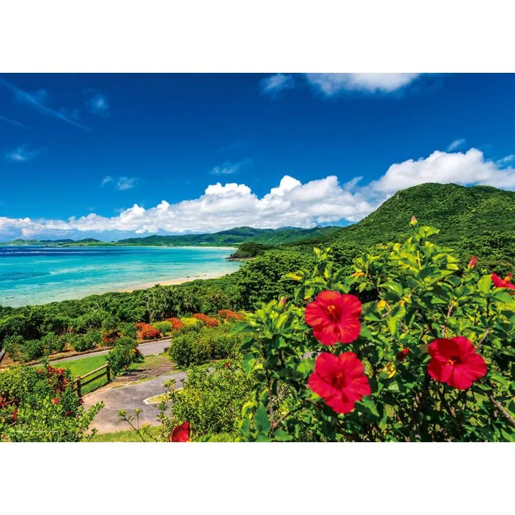 Pussel Hav och hibiskus, Sommar på Ishigaki Island Okinawa [CP-NT] 500 bitar YAM-05-1097