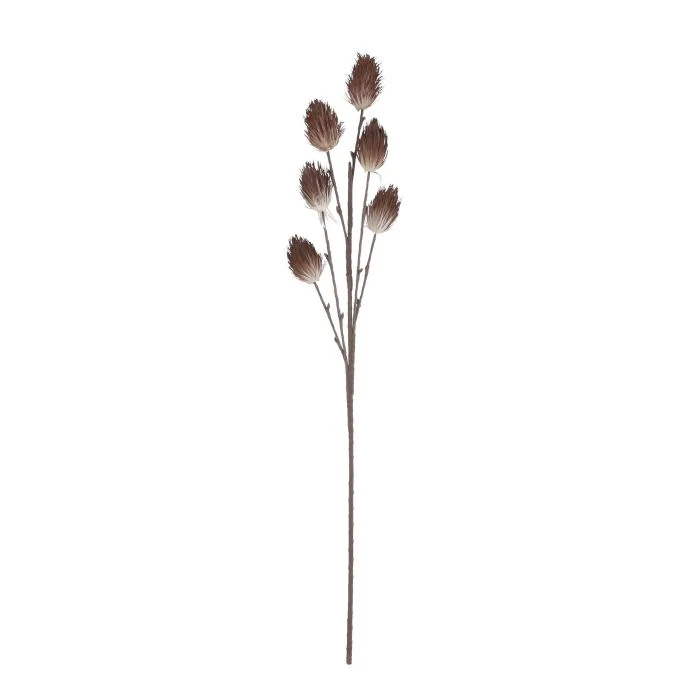 Tistel brun 105 cm höjd