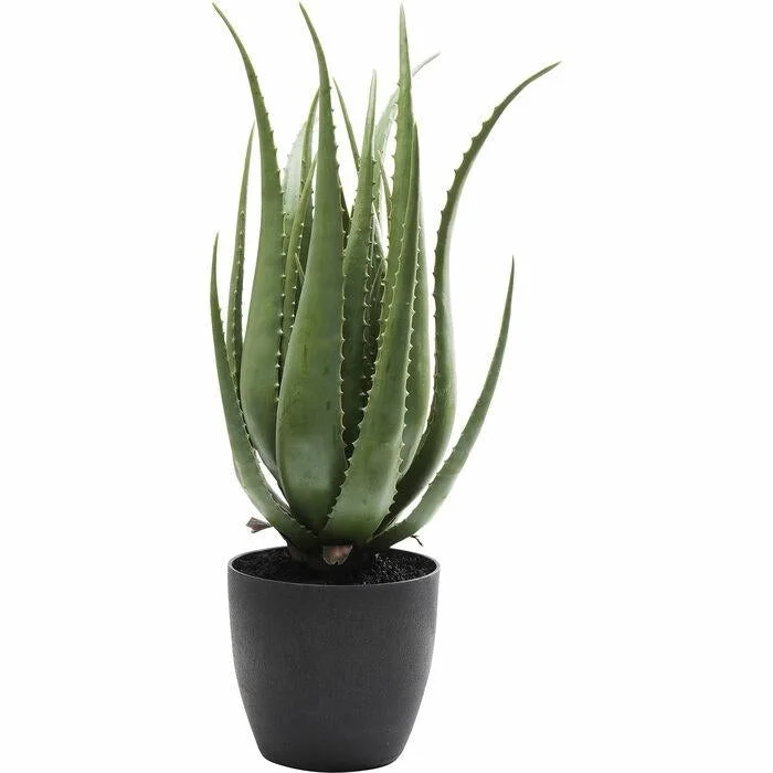Konstväxt KARE DESIGN - ALO, 69 cm