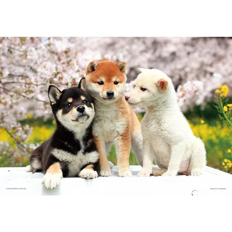 Pussel Vänliga vänner Shiba Inu 300 bitar YAM-03-883 YANOMAN