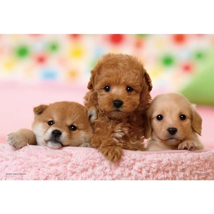 Pussel Vänner För Alltid Toypudel, Tax & Shiba Inu 300 Bitar YAM-03-873