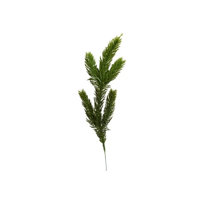 Grangren 25 cm lång