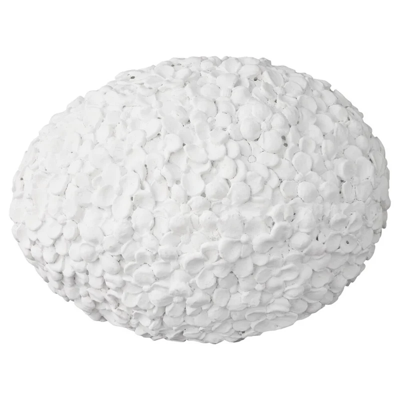 A00005570