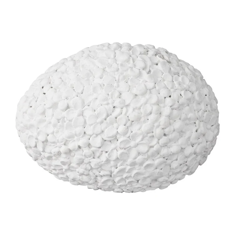 A00005566