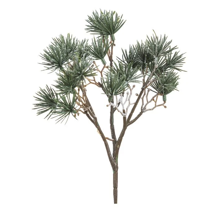 Lärkgren med snö 45 cm hög