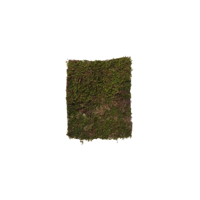 Mossbit 28 cm x 35 cm
