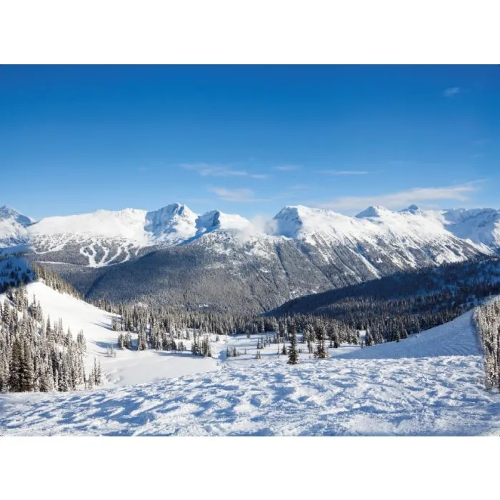 Bakgrund Whistler