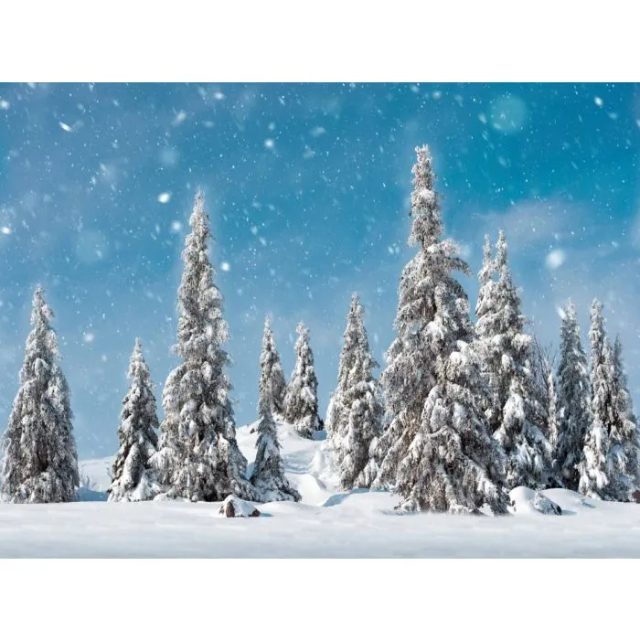 Bakgrund med snötäckta granar