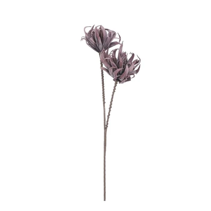 Krysantemum puderlila