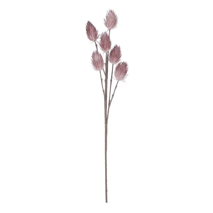 Tistel ljus rosa