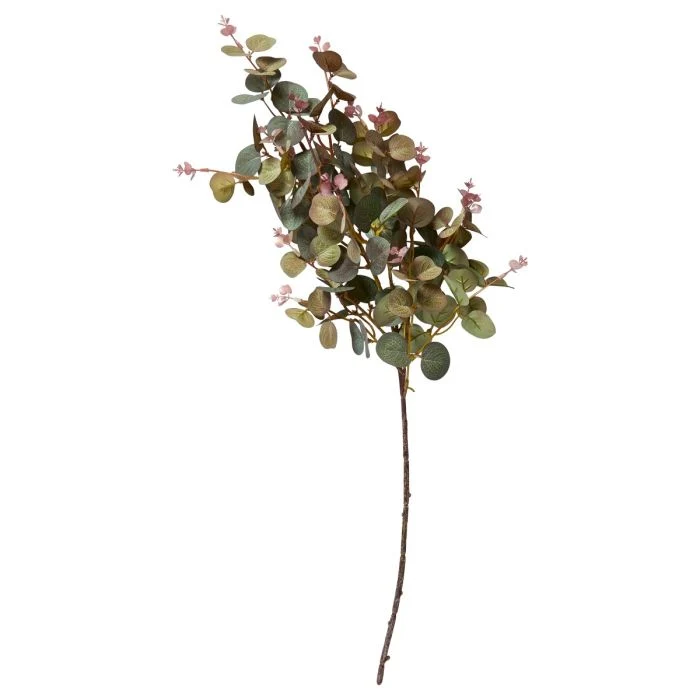 Eukalyptus stjälk 70 cm