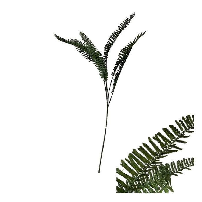 Stjälk med ormbunksblad