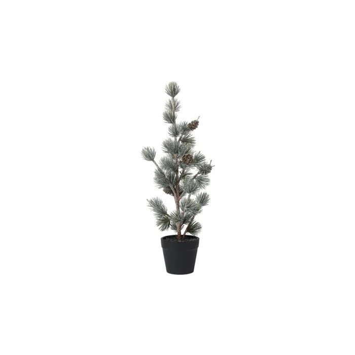 Lärkträd med snö och kottar 36 cm högt
