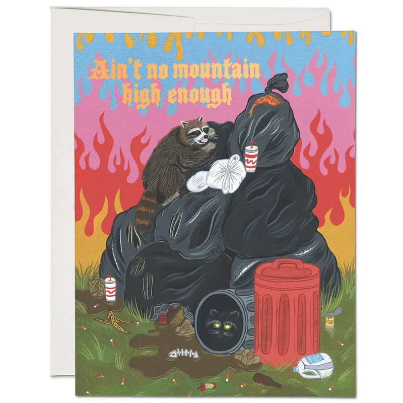 Raccoon Fun Congratulations Greetings Card by Red Cap Cards