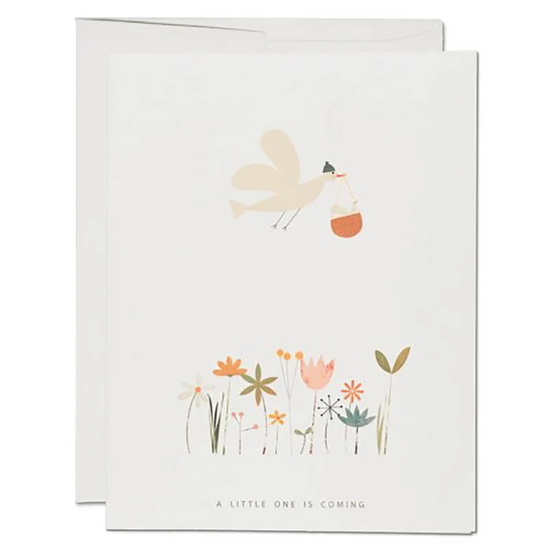 Birdie in Basket Baby Greetings Card by Red Cap Cards