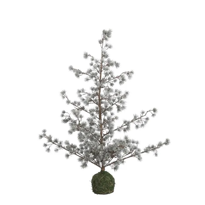 Lärkträd med lätt frost 90 cm högt
