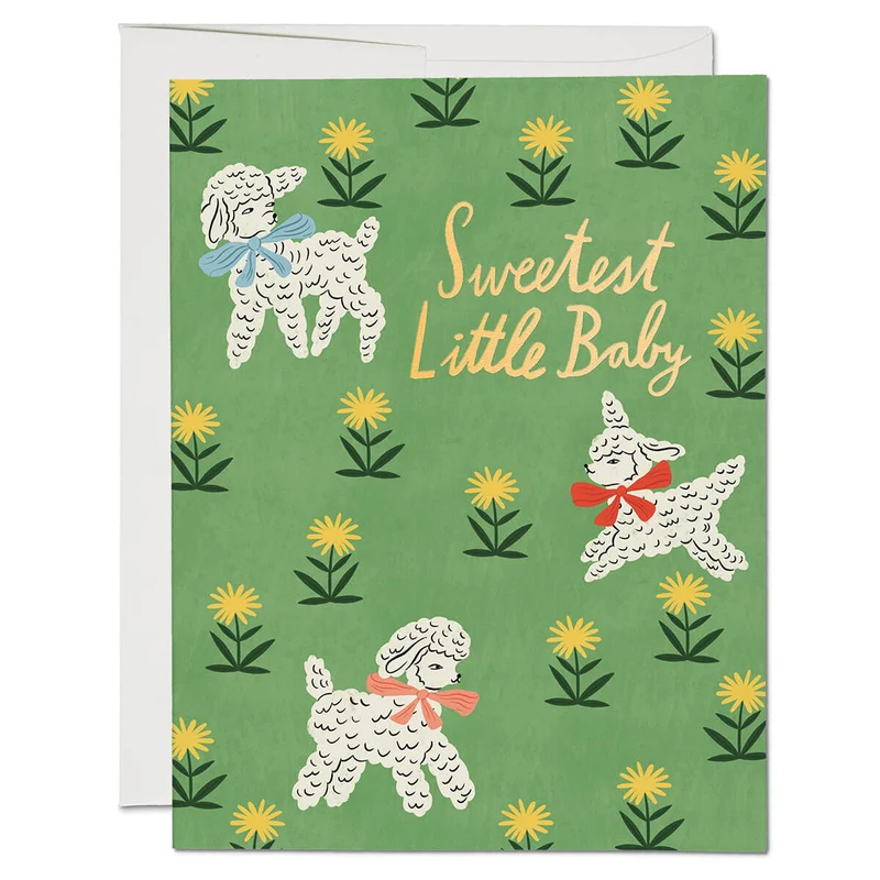 Little Lamb Greetings Card by Red Cap Cards