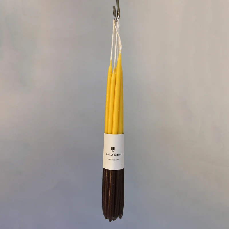 8 Celebration Extra Long Double-Dipped Birthday Candles in by Wax Atelier