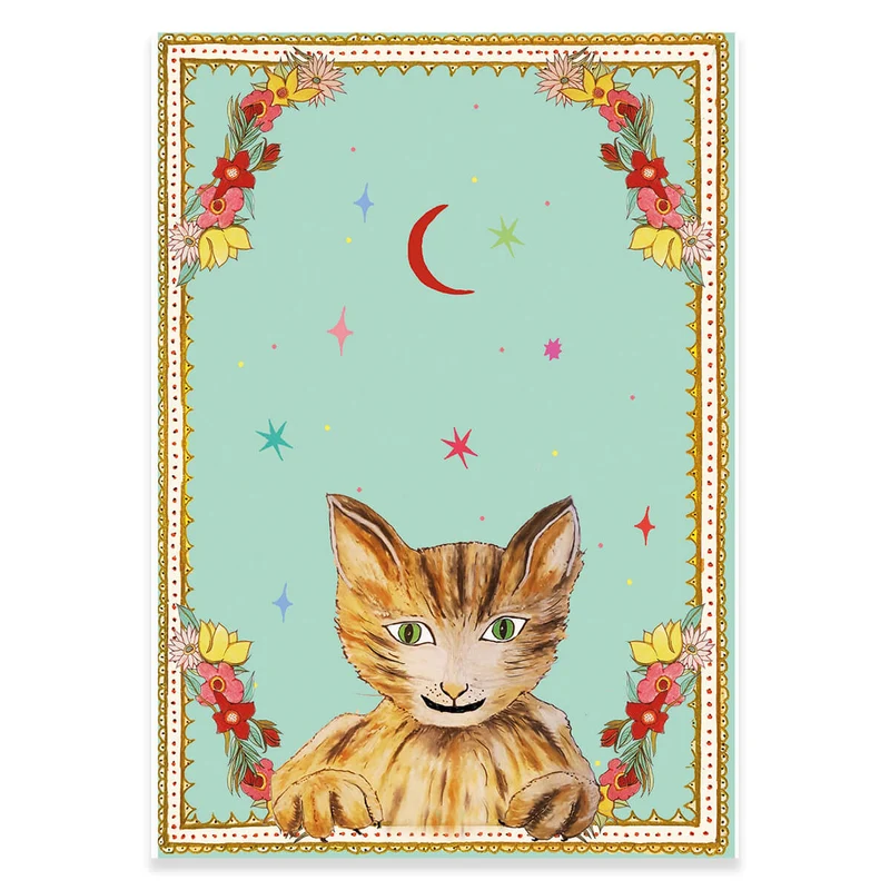 What's Up Pussy Cat Greetings Card by Wildflower Cards