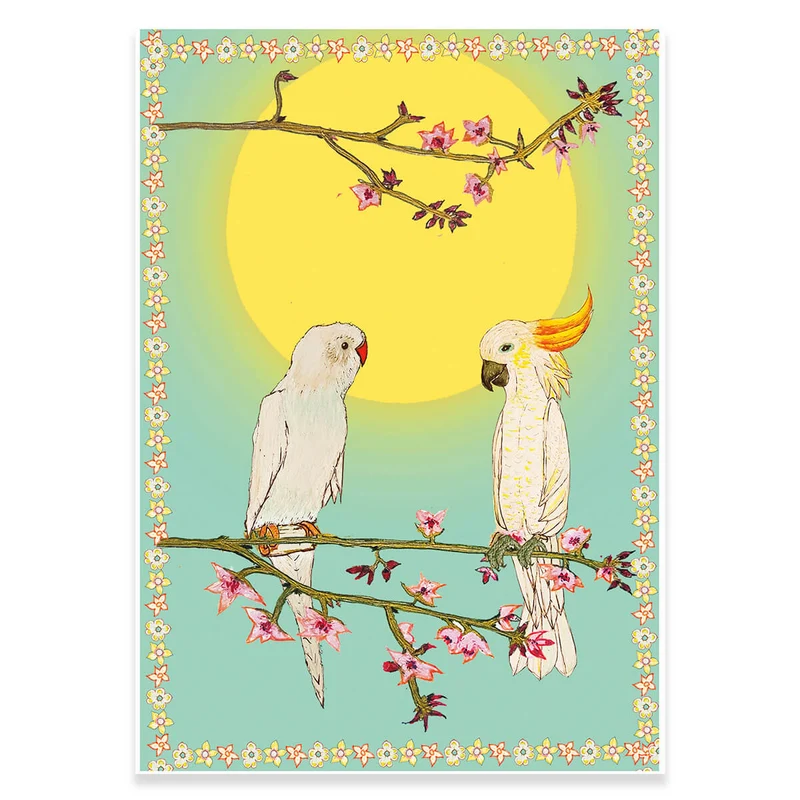 Cockatoo And Parakeet Greetings Card by Wildflower Cards